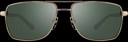 Revo Ray Sunglasses